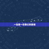 一生嫁一任老公的属相，什么属相的男人是好老公 要嫁就嫁这几个生肖男