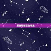星盘婚姻宫在哪里，怎样通过看星盘知道自己的姻缘