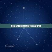 好听又特别的微信名字英文名，特别又好听的英文名字
