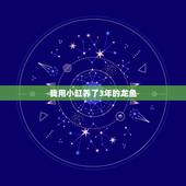 我用小缸养了3年的龙鱼，80cm长，宽35cm的鱼缸，如果勉强要养小的