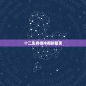 十二生肖相冲相刑相害，十二生肖相害相刑表