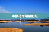 牛跟马婚姻相配吗，男牛女马的婚姻顺利吗