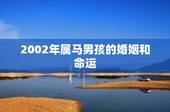 2002年属马男孩的婚姻和命运，属马人的婚姻与命运，属马人和什么属相最
