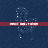 孙姓图腾12属相头像图片大全，孙姓图腾是什么意思