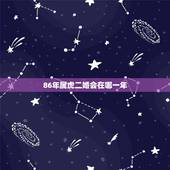 86年属虎二婚会在哪一年，86年属虎男士一生中会不会一次婚姻都没有？