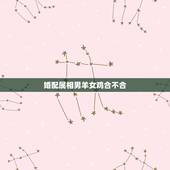 婚配属相男羊女鸡合不合，属相婚配鸡和羊