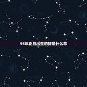 95年正月出生的猪是什么命，95年出生属猪人的命运