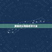 属鼠的公司起名字大全，寓意好的公司名字大全