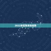 2022年生肖羊的运势，2022年属羊好不好？