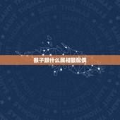 猴子跟什么属相最配偶，属猴最佳配对属相？