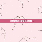 比属龙的大1岁是什么属相，比属龙大三岁的是什么属相