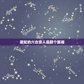 属蛇的六合贵人是那个属相，属猴的三合和六个合生肖