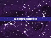 属牛和属兔的婚姻如何，属牛和属兔的婚姻如何化解