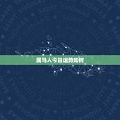 属马人今日运势如何，2022 年下半年运势更好的生肖