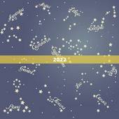 2022 年属羊女的是什么命，2022 年属什么生肖
