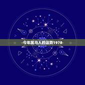 今年属马人的运势1978，2022 属马的运势和财运