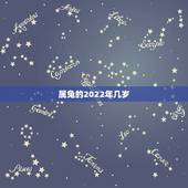 属兔的2022年几岁，2022年属兔的是什么命