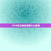 1978年立春应该属什么属相，1978年是什么属相