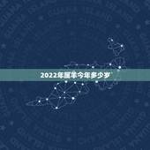 2022年属羊今年多少岁，2022年属羊的是什么命运