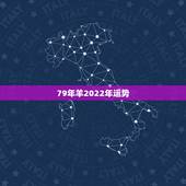 79年羊2022年运势，79年属羊2021年每月运势