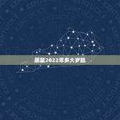 属鼠2022年多大岁数，2022年属什么生肖多少岁