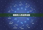 属猴的人的运势运程，今天属猴的运程怎么样？关于工作的