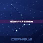 属侯的和什么属相最配相克，属猴的男人和什么属相最配