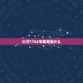公元1102年属相是什么，今年是什么属相