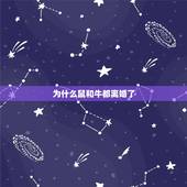 为什么鼠和牛都离婚了 属鼠人命中注定的丈夫