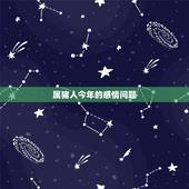 属猪人今年的感情问题，属猪这一辈子的婚姻状况