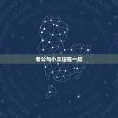 老公与小三住在一起，老公与小三住在一起怎么处理