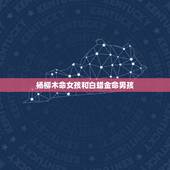 杨柳木命女孩和白蜡金命男孩，白蜡金命和杨柳木命相克吗