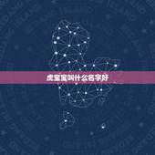 虎宝宝叫什么名字好，帮我分析一下名字，宝宝预产期2022年1月3号左右