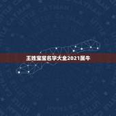 王姓宝宝名字大全2021属牛，王姓女孩名字2021年属牛