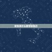 蛇生肖什么数字旺自己，十二生肖的吉利数字