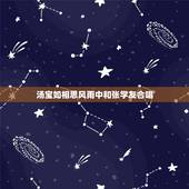 汤宝如相思风雨中和张学友合唱，求张学友和女歌手合唱过的所有歌翻唱的也要