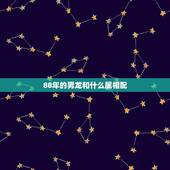 88年的男龙和什么属相配，属龙男88的和什么属相最配