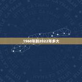 1960年到2022年多大，1921年到2022 年中间有几年