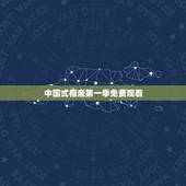 中国式相亲第一季免费观看，中国式相亲结局太令人失望了.为什么安琪和苏格