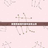 家里有属相牛猪羊会怎么样，一家里有两个属猪一个数属羊两个属狗还即将有个