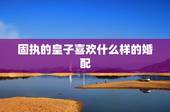 固执的皇子喜欢什么样的婚配，大皇子喜欢的是覃川还是公主？
