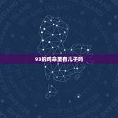 93的鸡命里有儿子吗，93年属鸡的是什么命