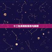 十二生肖婚配禁忌与解释，十二生肖男女婚配禁忌