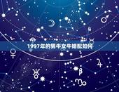 1997年的男牛女牛婚配如何，大师我想请问一下1997年属牛男和199