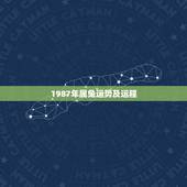 1987年属兔运势及运程，1987年属兔早年运势如何