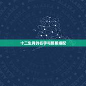 十二生肖的名字与属相婚配，十二生肖属相婚姻相配