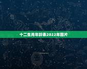 十二生肖年龄表2022年图片，属相年龄对照表2022