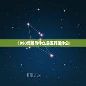 1990年属马什么命五行属什么，90年属马的是什么命