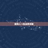 属狗人一生运势详解，属狗的人2021年的运势及运程？
