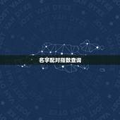 名字配对指数查询，姓名配对缘分指数测算为什么有我名字
